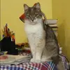 Отзыв от Мария Емельянова